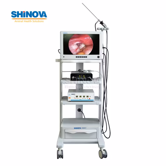 Laparoscopio medico, collegamento con lente Storz con strumento per laparoscopia CE, strumento per laparoscopia addominale chirurgica Endobox-22